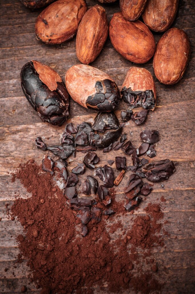 Cacao nibs